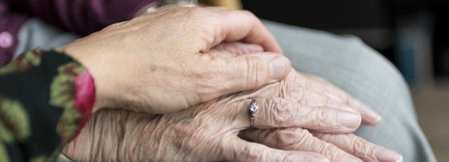hands-g22bb4bc4d_1280.jpg