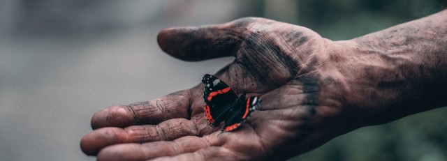 Hand met vlinder